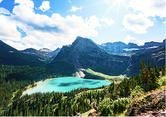 Bears, Monkeys, and Woolen Socks