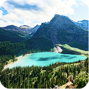 Bears, Monkeys, and Woolen Socks