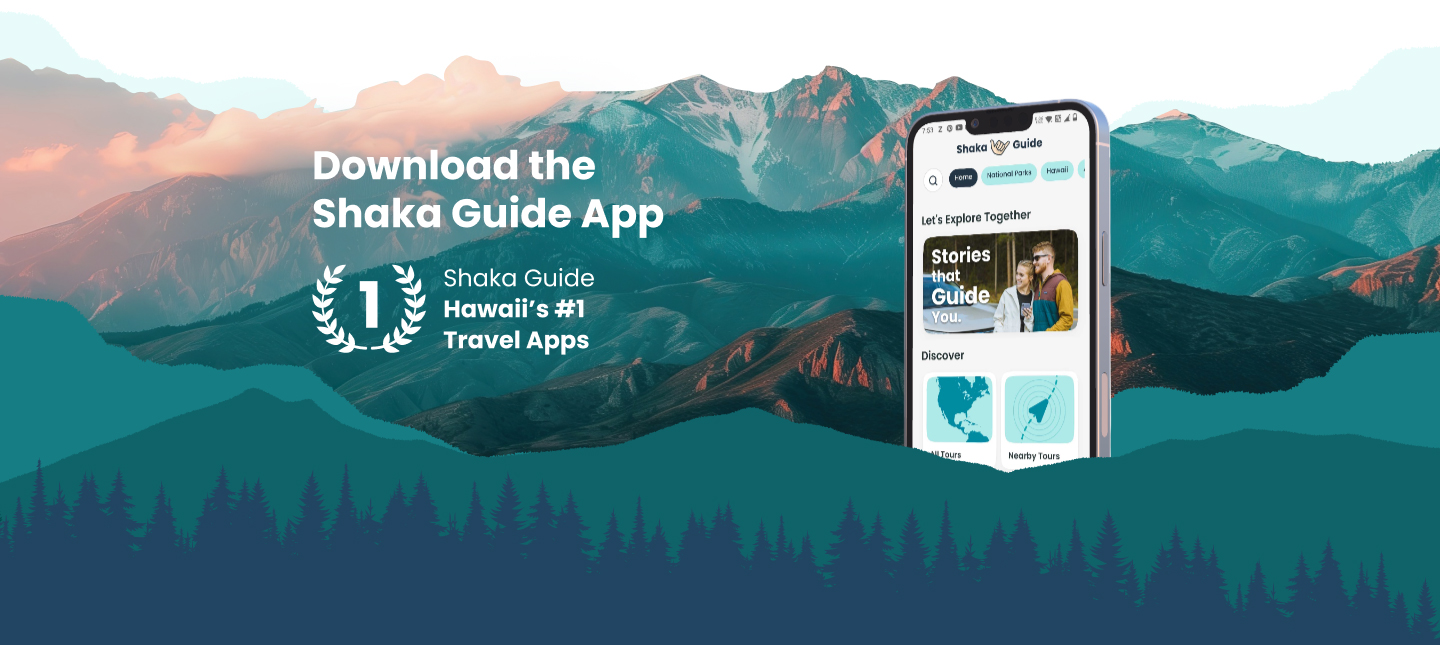 Download the app
